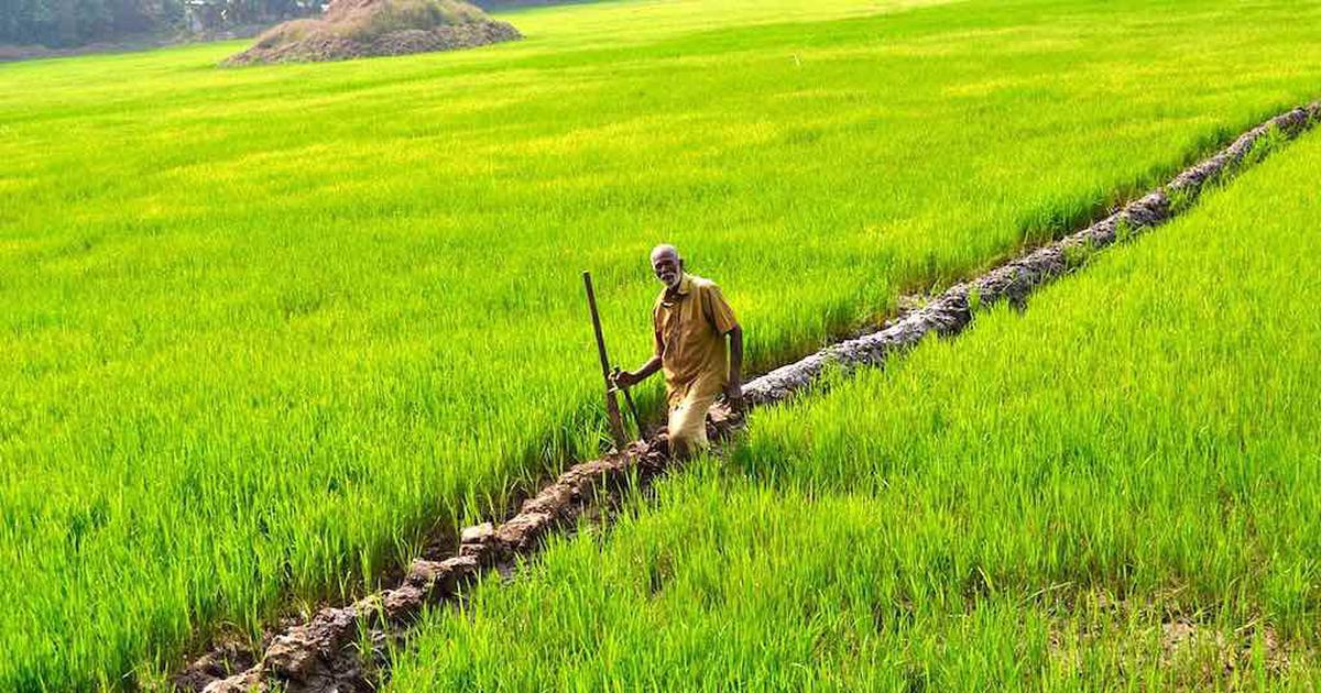 Agricultural farmland