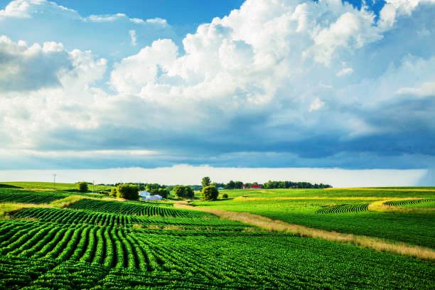Farmland connecting producers to global markets